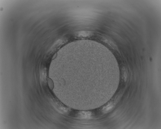 X0000072530328200608041603