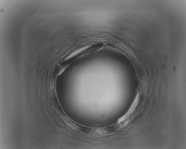 X0000072530329200608041603