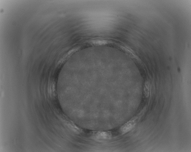 X0000072530330200608041603