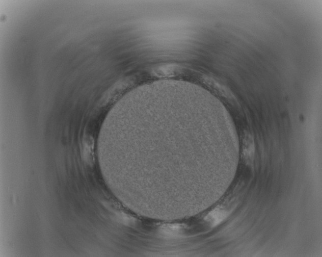 X0000072530332200608041603