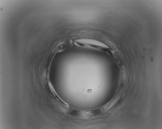 X0000072530333200608041603