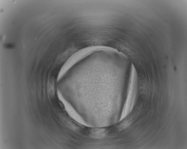 X0000072530334200608041603