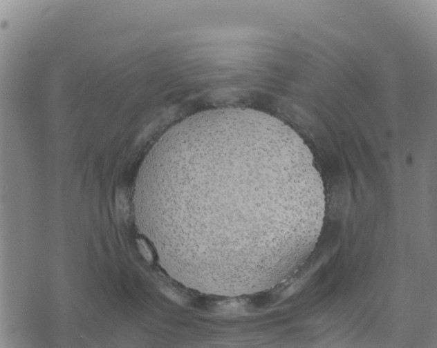 X0000072530335200608041603