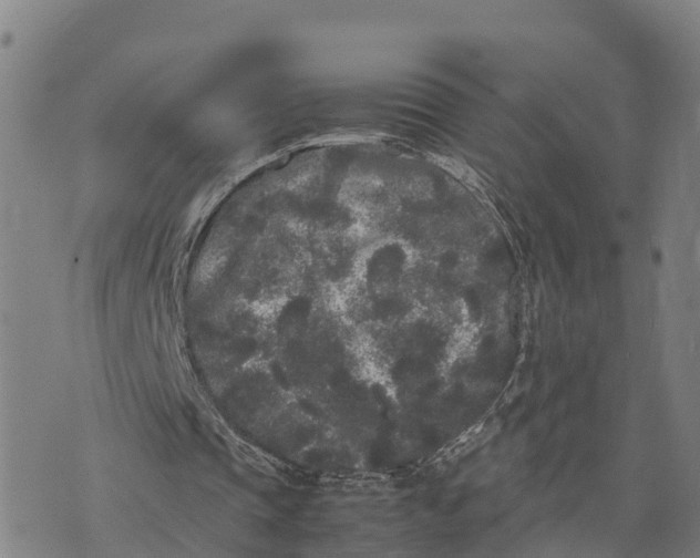 X0000072530337200608041602