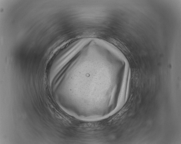 X0000072530338200608041602