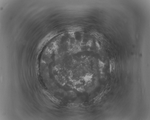 X0000072530339200608041602