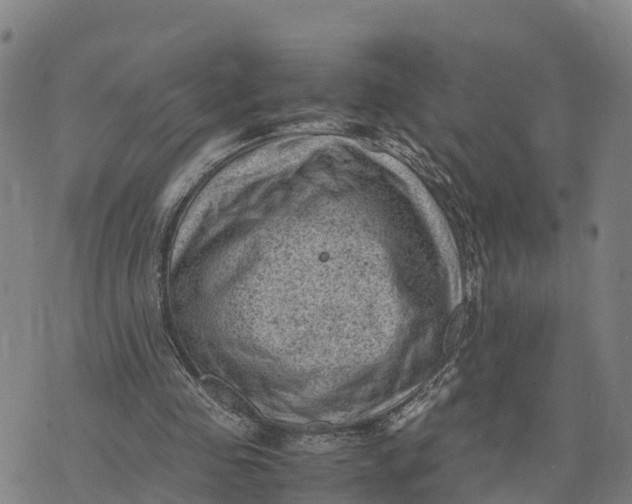 X0000072530341200608041602