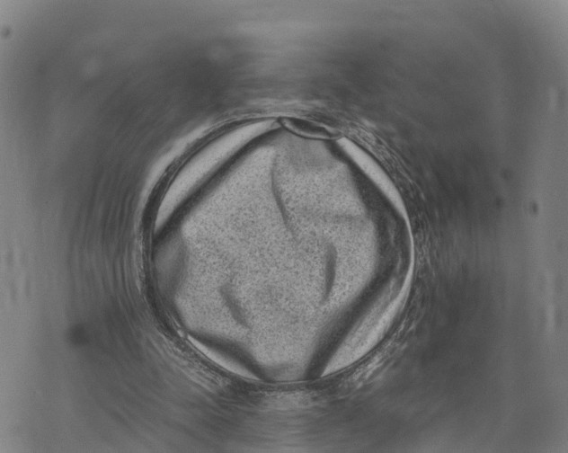 X0000072530342200608041602