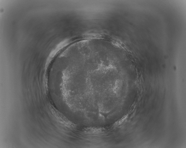 X0000072530343200608041602