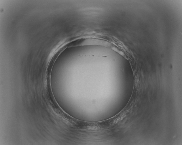 X0000072530344200608041603