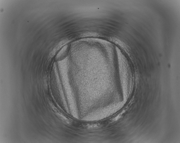 X0000072530345200608041603