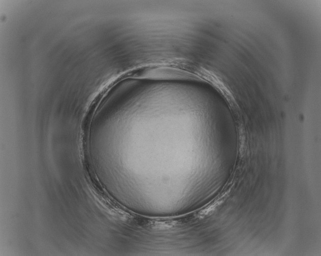 X0000072530346200608041603