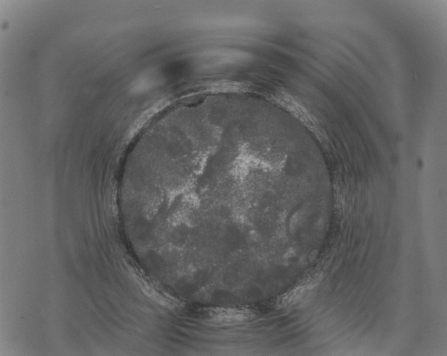 X0000072530347200608041603