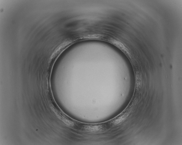 X0000072530349200608041603