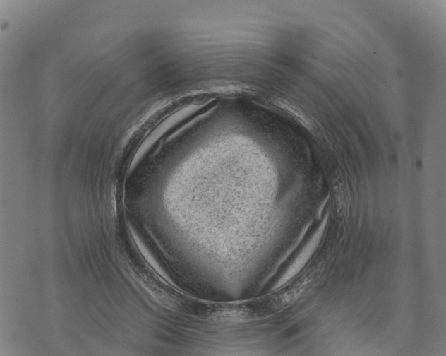 X0000072530350200608041603