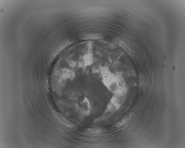 X0000072530351200608041603