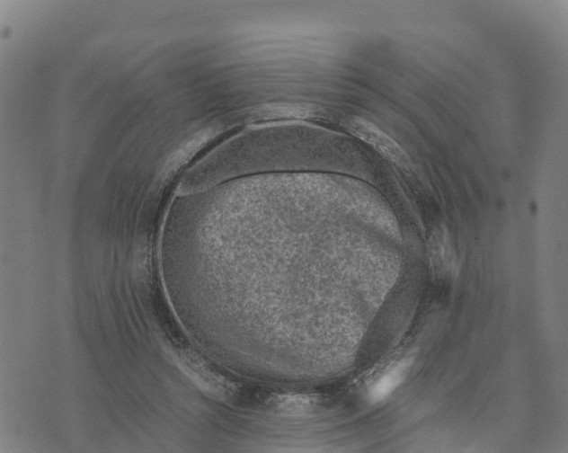 X0000072530352200608041603