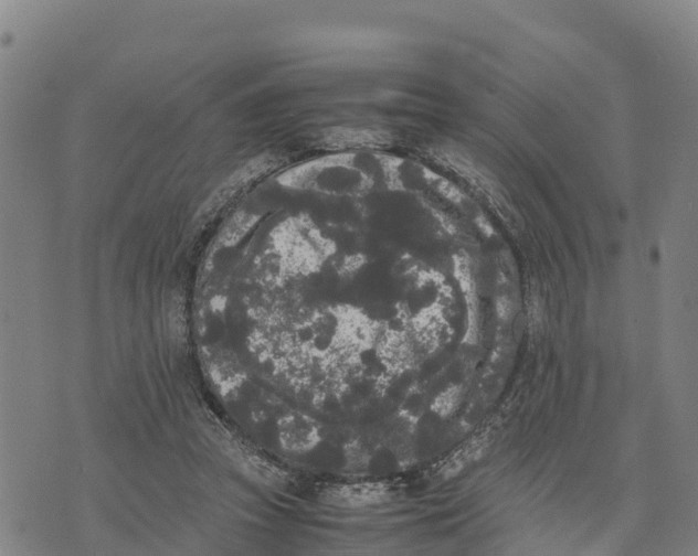 X0000072530353200608041603