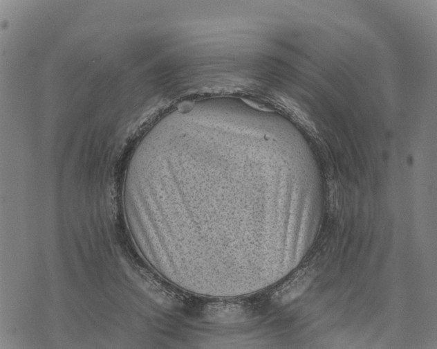 X0000072530354200608041603