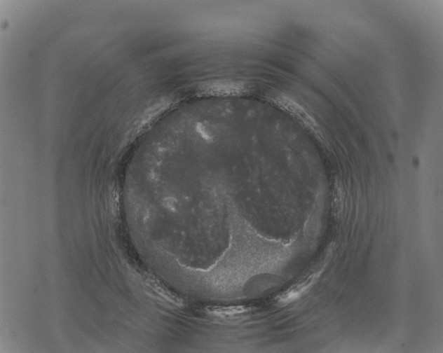 X0000072530355200608041603