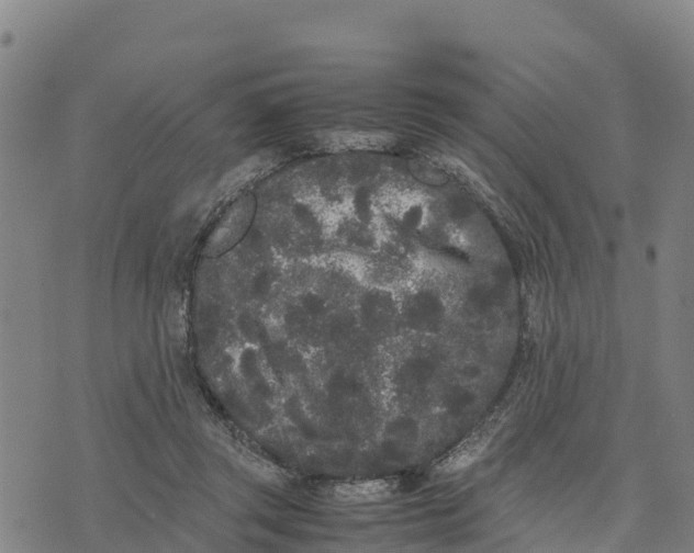 X0000072530357200608041603