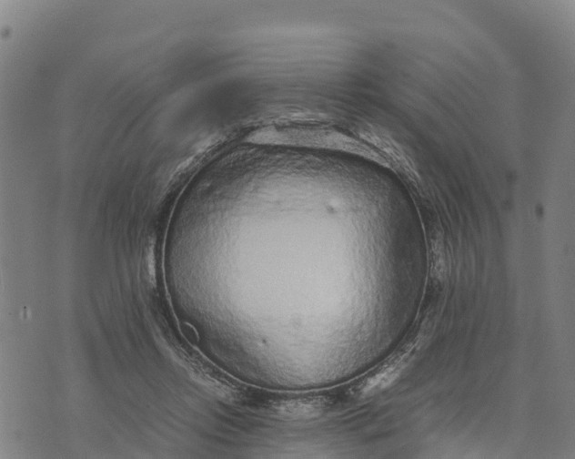 X0000072530358200608041603