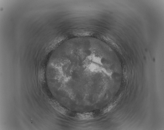 X0000072530359200608041603