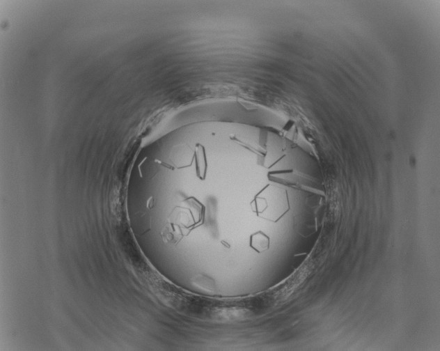 X0000072530360200608041603