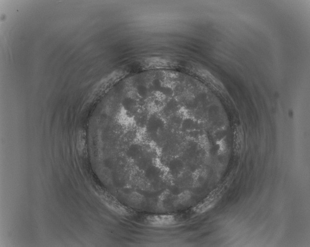 X0000072530361200608041603