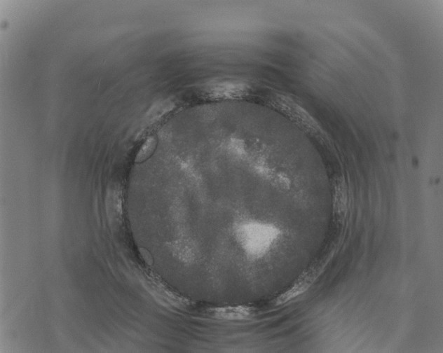 X0000072530363200608041603