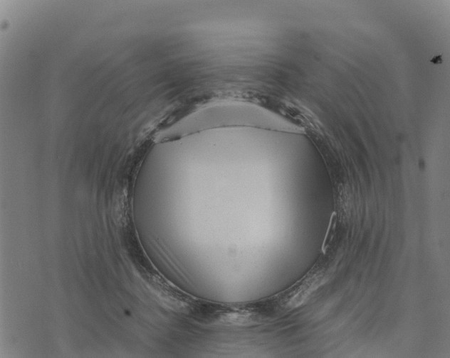 X0000072530364200608041603