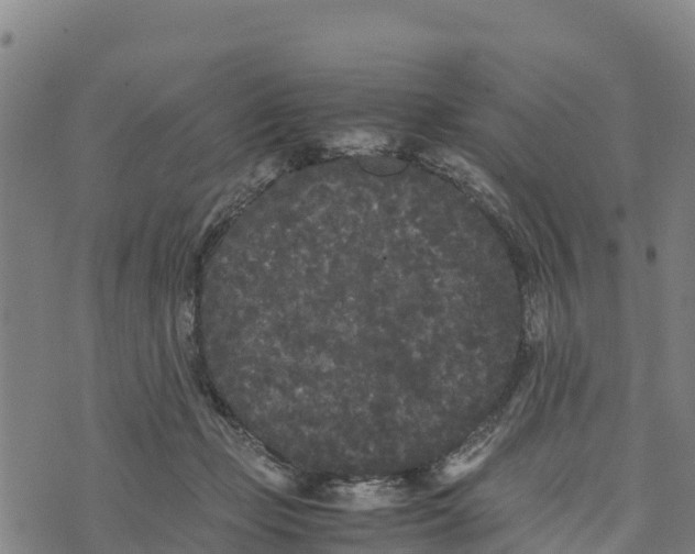 X0000072530365200608041603