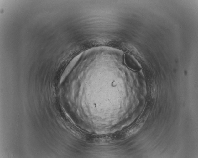 X0000072530366200608041603