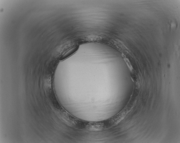 X0000072530368200608041603