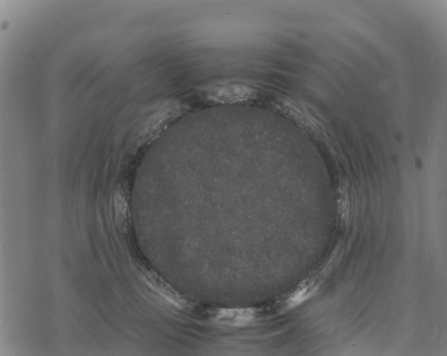 X0000072530371200608041603