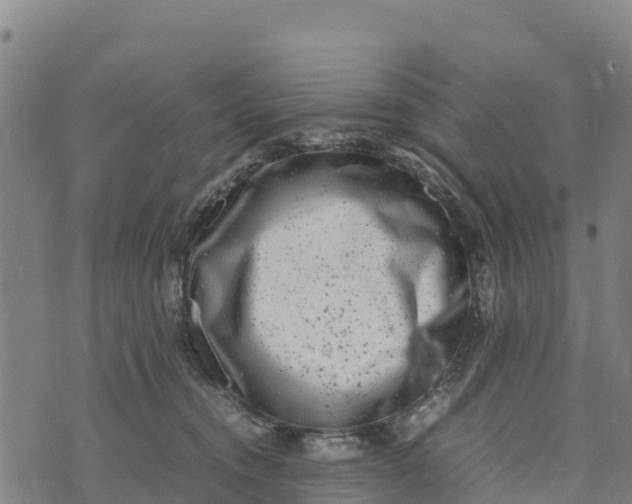 X0000072530372200608041603