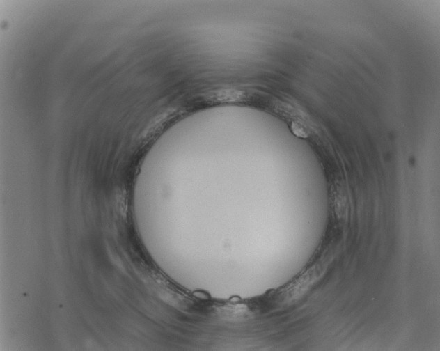 X0000072530374200608041603