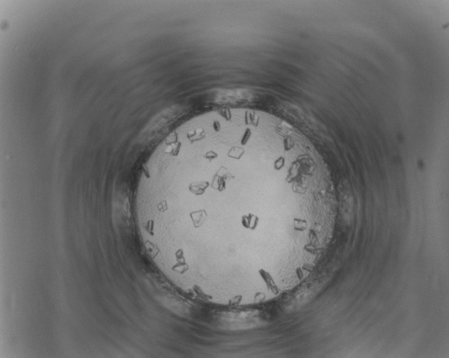 X0000072530375200608041603