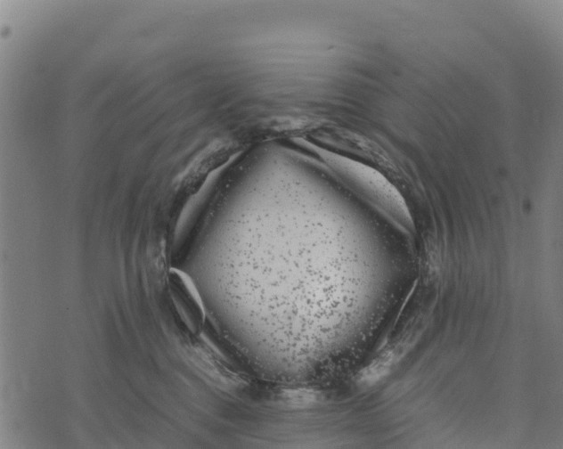 X0000072530376200608041603