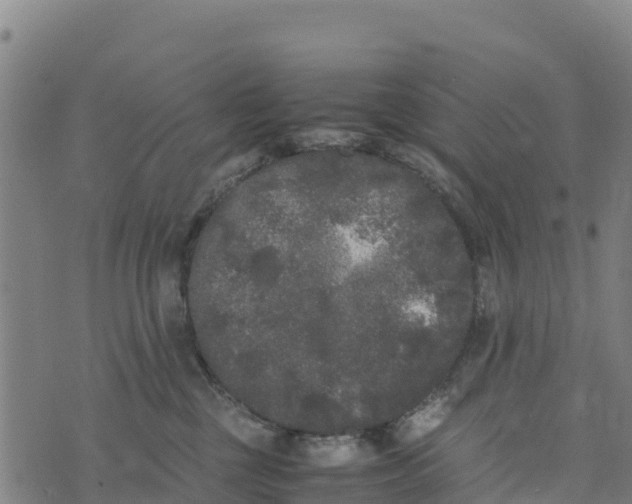 X0000072530377200608041603