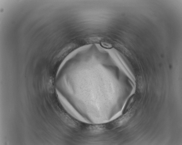 X0000072530378200608041603