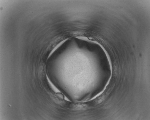 X0000072530379200608041603