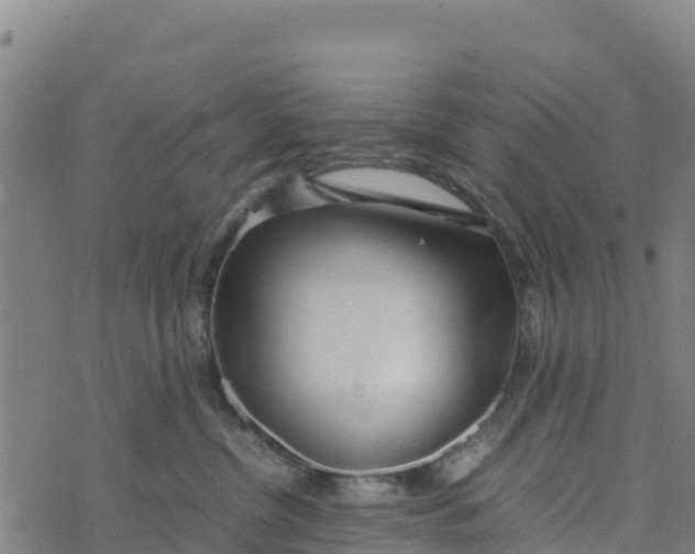 X0000072530380200608041603