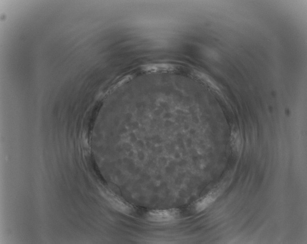 X0000072530381200608041603