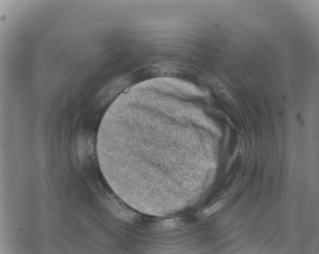 X0000072530382200608041603