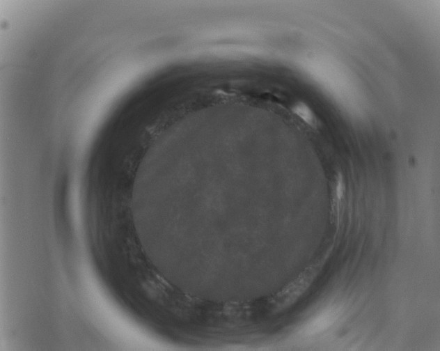 X0000072530383200608041603