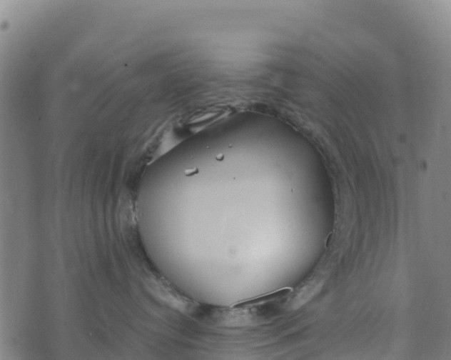 X0000072530384200608041603