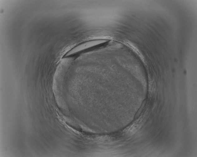 X0000072530385200608041602