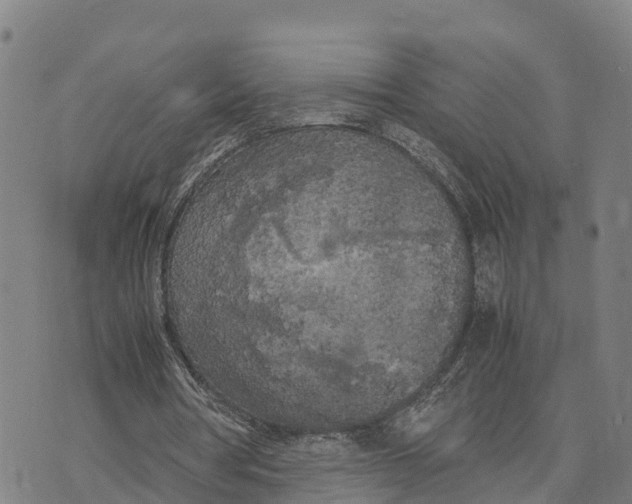 X0000072530386200608041602