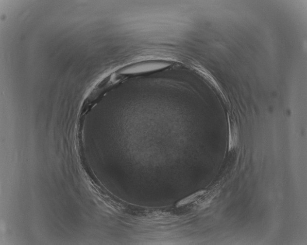 X0000072530387200608041602